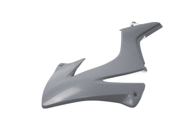 Bekledingspaneel rechtsvoor Honda FMX 650 FunMoto RD12 05-07