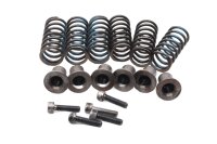 Koppelingsveer schroefset Ducati Monster 620 ie ZDMM400...