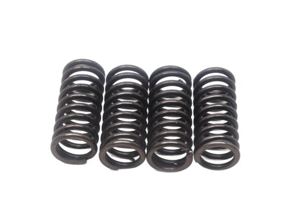 Set di molle della frizione, molla di attrito Honda NT 650 V Deauville RC47 98-01