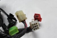 Kabelbaum Hauptkabelstrang Zündung Elektrik Relais Honda CB 1300 SC40 98-02