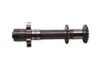 arbre de pompe à huile, transmission par engrenages, pompe à huile, arbre de transmission BMW R 1150 GS R21 0415 99-04