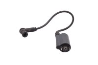 Bageste tændspole, enkelt tændspole Ducati Monster 620 ie ZDMM400 137 M4 02-06