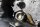Oil pan, engine bottom, drain plug cap, housing Honda CB 1300 SC40 98-02