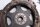 Koblingssæt trykplade drevet plade komplet BMW R 1100 GS 259 0409 93-99