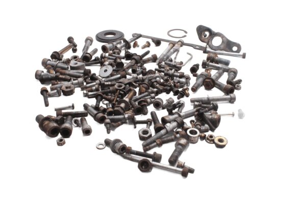 Fairing screw set, frame mounting BMW R 1100 GS 259 0409 93-99