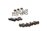 Bromsskivskruvsats Torx invändig sexkant BMW R 1150 RT R22 02-05