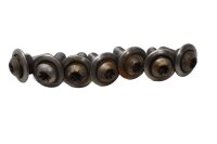 Bromsskivskruvsats Torx invändig sexkant BMW R 1150 RT R22 02-05