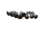 Bromsskivskruvsats Torx invändig sexkant BMW R 1150 RT R22 02-05