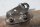 Exhaust muffler left silencer exhaust pipe bracket Moto Guzzi V65 PG 81-87