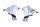 Chromen sierlijst, decoratieve afdekking links rechts Harley-Davidson universell