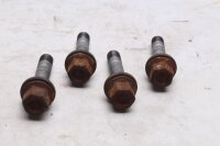 Pyöränpulttisarja takapyörän kiinnityskierre BMW R 1100 GS 259 0409 93-99