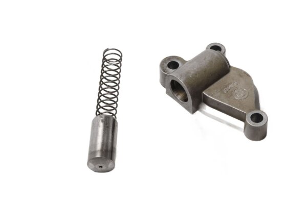 Steuerkettenspanner Spannvorrichtung Spannfeder 300.01 BMW R 1150 RT R22 02-05