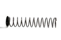 Steuerkettenspanner Spannvorrichtung Spannfeder 300.01 BMW R 1150 RT R22 02-05