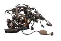 Kabelboom, hoofdkabelboom, zekering, connector BMW R 1100 GS 259 0409 93-99