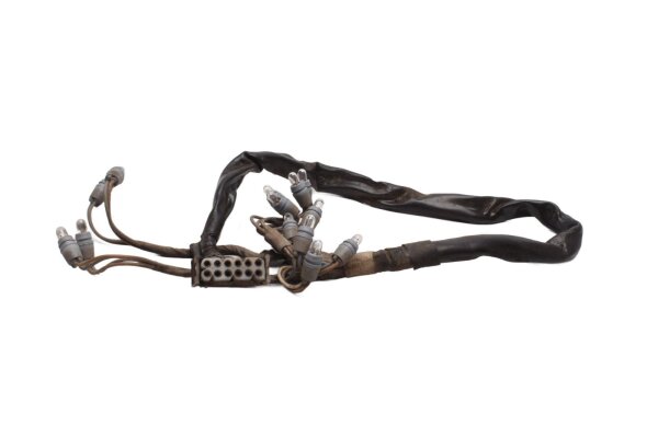 Kabelboom, instrumentenpaneel, waarschuwingslampjes, snelheidsmeter BMW R 1100 GS 259 0409 93-99