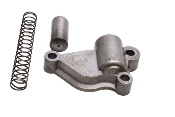 Chain tensioner, timing chain, oil pump drive, tensioner arm BMW R 1100 GS 259 0409 93-99