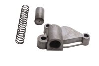 Chain tensioner, timing chain, oil pump drive, tensioner arm BMW R 1100 GS 259 0409 93-99