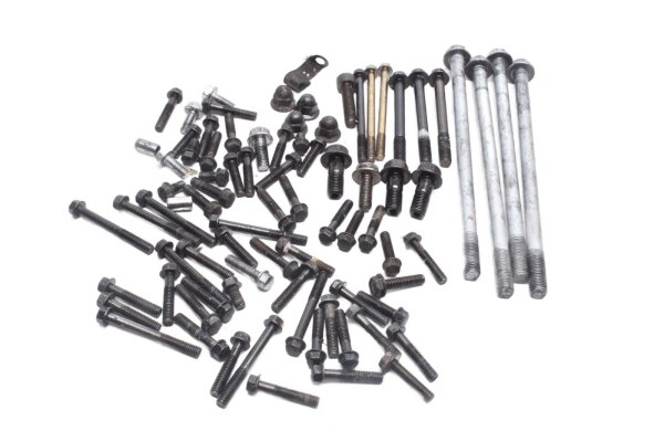 Engine screws, screw set, screw kit Kawasaki KLR 650 Tengai KL650A/B 89-94