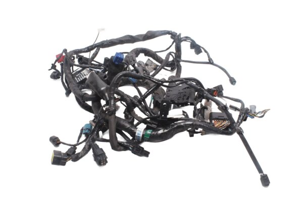 Mazo de cables principal, sistema eléctrico Kawasaki Versys 650 KLE 650 B LE650A 07-09