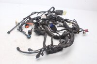 Mazo de cables principal, sistema eléctrico Kawasaki Versys 650 KLE 650 B LE650A 07-09