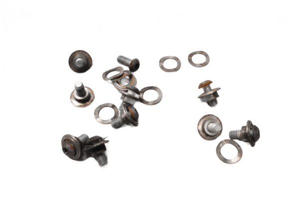 Bremsscheibenschrauben Satz vorne mit BMW R 1200 GS K25 0307 R12 04-07