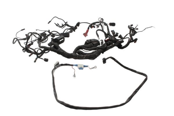 Kabelhärva, huvudkabelhärva, säkring BMW R 1200 GS K25 0307 R12 04-07