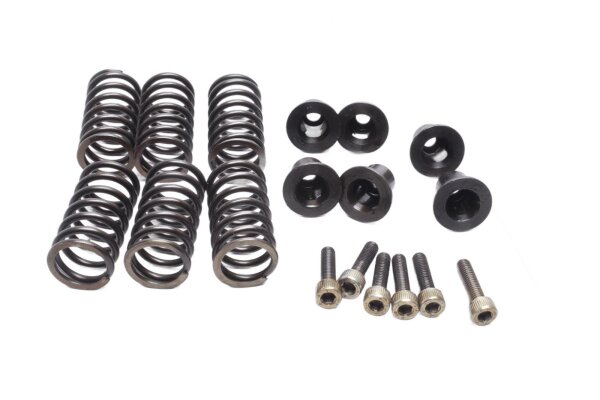 Kopplingsfjädrar, tryckplattans bultar Ducati Monster 600 Dark ZDM300AA 98-01