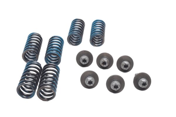 Clutch springs, screws, clutch basket BMW G 650 Xcountry E65X 0164 K15 07-10