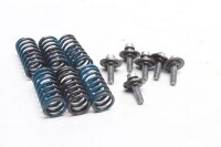 Clutch springs, screws, clutch basket BMW G 650 Xcountry E65X 0164 K15 07-10
