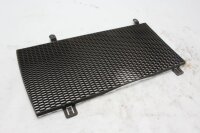 Radiatorbescherming, motorkoelingsbescherming BMW F 800...