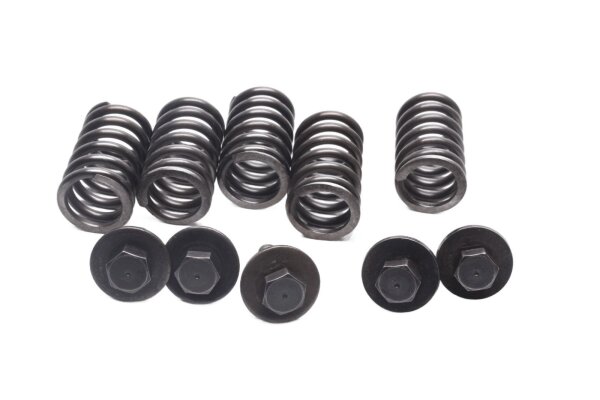 Muelles del embrague, tornillos, cesta del embrague Kawasaki KLR 650 Tengai KL650A/B 89-94