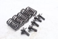 Muelles del embrague, tornillos, cesta del embrague Kawasaki KLR 650 Tengai KL650A/B 89-94