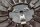Clutch kit pressure plate friction disc BMW R 1150 GS Adventure R21 0441 02-05