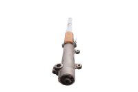 Left fork leg, damper tube, stanchion, guide tube BMW R...