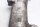 Rechter vorkpoot, voorvorkbuis, chassis BMW R 1100 RT 259 0413 96-01