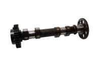 Nokkenas inlaatkleppenmechanisme regelmechanisme BMW F...