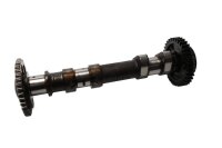 Nokkenas inlaatkleppenmechanisme regelmechanisme BMW F...