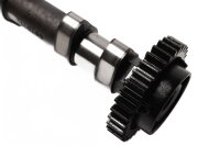 Engrenage de commande de la distribution dadmission de larbre à cames BMW F 800 GS E8GS 0219 08-12