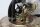Brændstofpumpe med slange og filter BMW R 1150 GS Adventure R21 0441 02-05