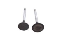 Inlet valve, exhaust valve, front valve system Ducati...
