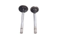 Inlet valve, exhaust valve, front valve system Ducati...