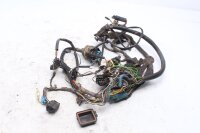 Cablaggio, set di cablaggio principale, impianto elettrico BMW R 100 GS Paris Dakar 247E 0474 89-96