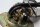 Polttoainepumppu, bensiinipumppuyksikkö, polttoaineen tasoanturi, pumppu BMW R 1150 RT 0419 R22 02-05