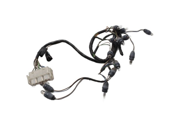 Instrumentenkabelbaum Tachobeleuchtung BMW R 1150 RT 0419 R22 02-05