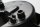 Support de carénage de cockpit pour instrument BMW R 1150 RT 0419 R22 02-05