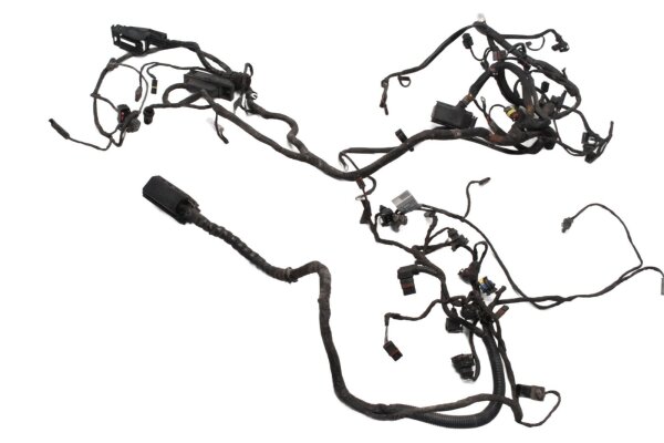 Pääjohtosarja, ohjausyksikkö, sähköjärjestelmä, sytytys 7670161 BMW F 800 GS E8GS 0219 08-12