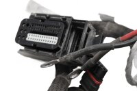Pääjohtosarja, ohjausyksikkö, sähköjärjestelmä, sytytys 7670161 BMW F 800 GS E8GS 0219 08-12