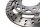 Juego de discos de freno delanteros flotantes perforados BMW F 800 GS E8GS 0219 08-12