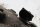 Takalokasuojan yläosan roiskesuoja BMW F 800 GS E8GS 0219 08-12