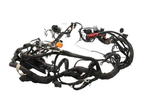 Cablaggio, cablaggio principale, componenti elettrici, connettori BMW R 1150 RT 0419 R22 02-05